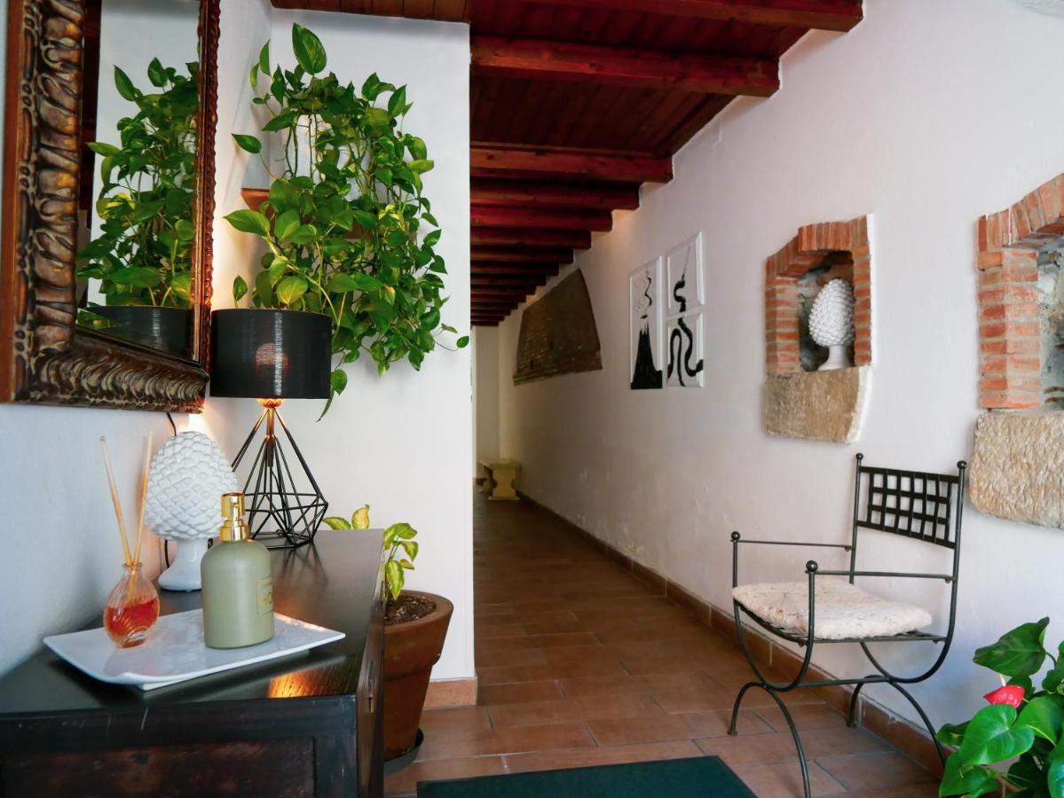 Bed and Breakfast My Friend Antonia Barcellona-Pozzo di Gotto Zewnętrze zdjęcie